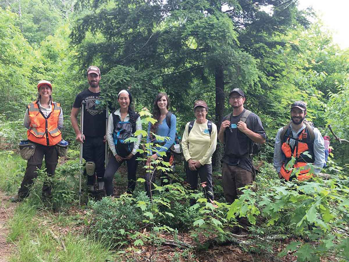 Hike among hemlocks