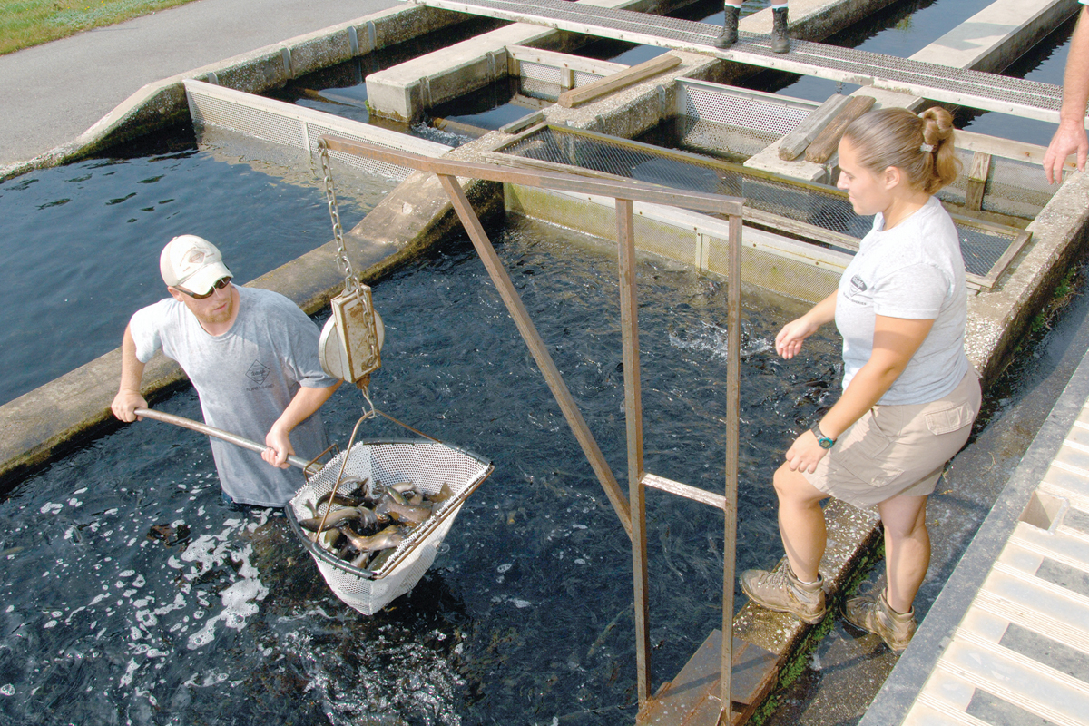 Armstrong fish hatchery severely Impacted by Helene: Commission responds to continue Public Mountain Trout program