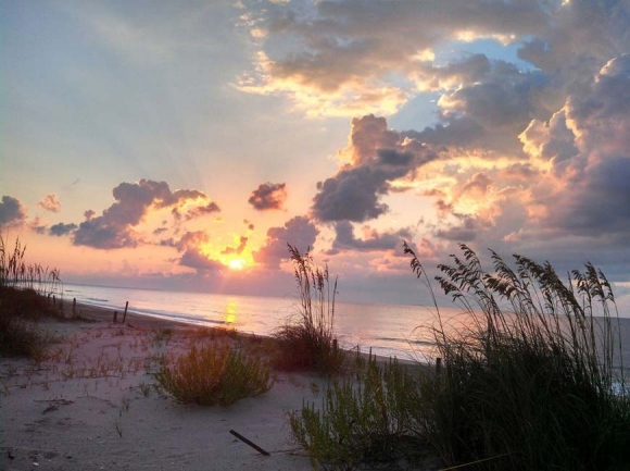 There’s magic in these evening Edisto walks