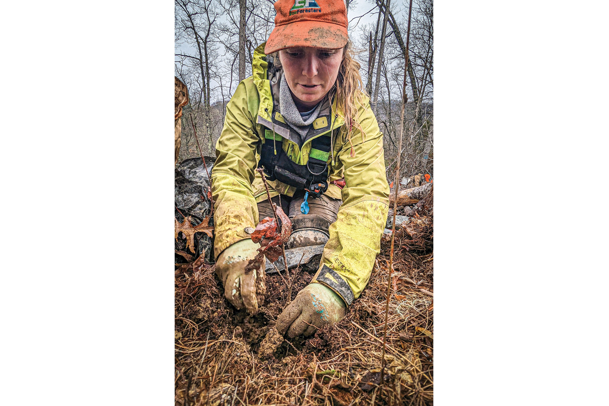 An EcoForesters staff member plants a tree seedling. EcoForesters photo