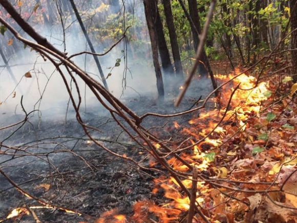 Up in smoke: Wildfires rage across a bone-dry WNC