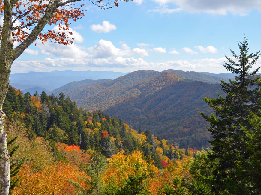 Newfound Gap Road named All-American Road