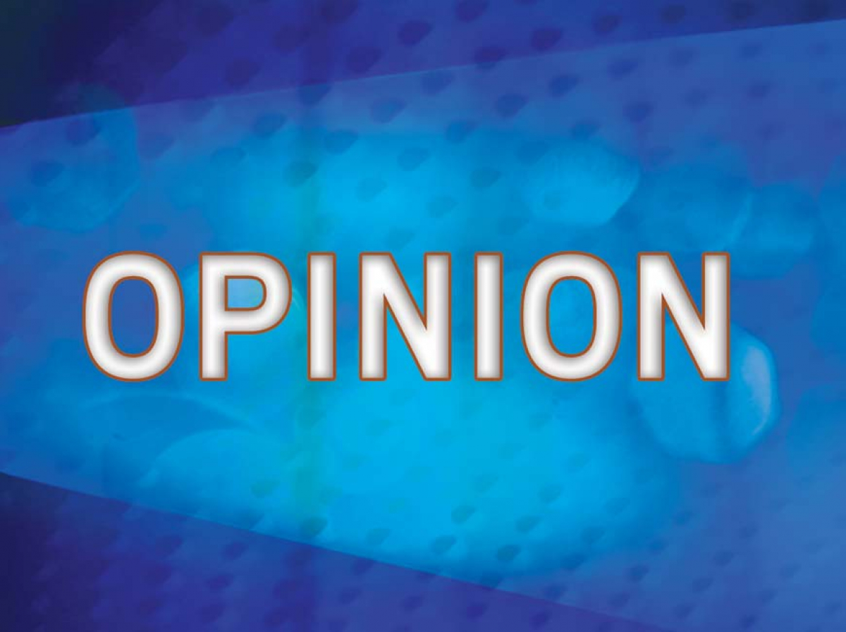 Do opinions still belong in newspapers?