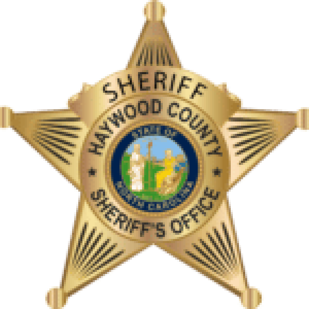 Woman arrested after allegedly abducting her children in Haywood