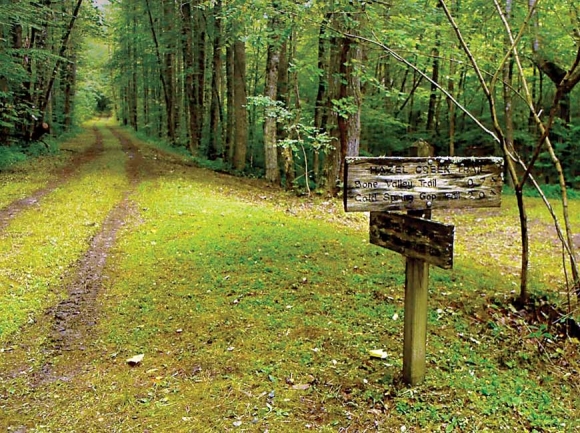 The Hazel Creek area is one of many historically significant places in the Smokies. GSMA photos