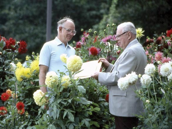 Donation will restore HCC dahlia garden