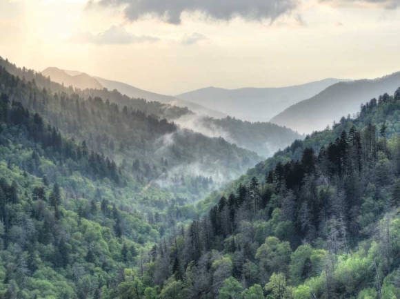 Great Smoky Mountains National Park. Courtesy Jackson County TDA