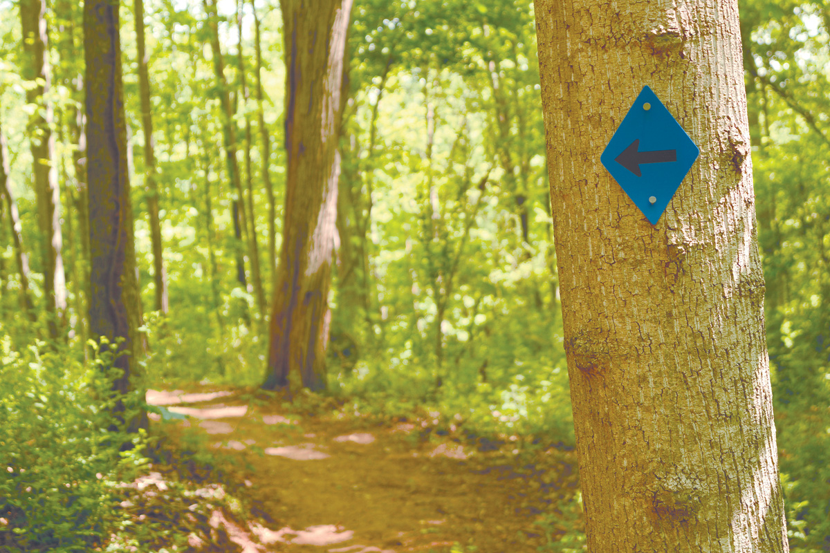 A blue arrow signals a bend in the path on Kingfisher Trail. Holly Kays photo