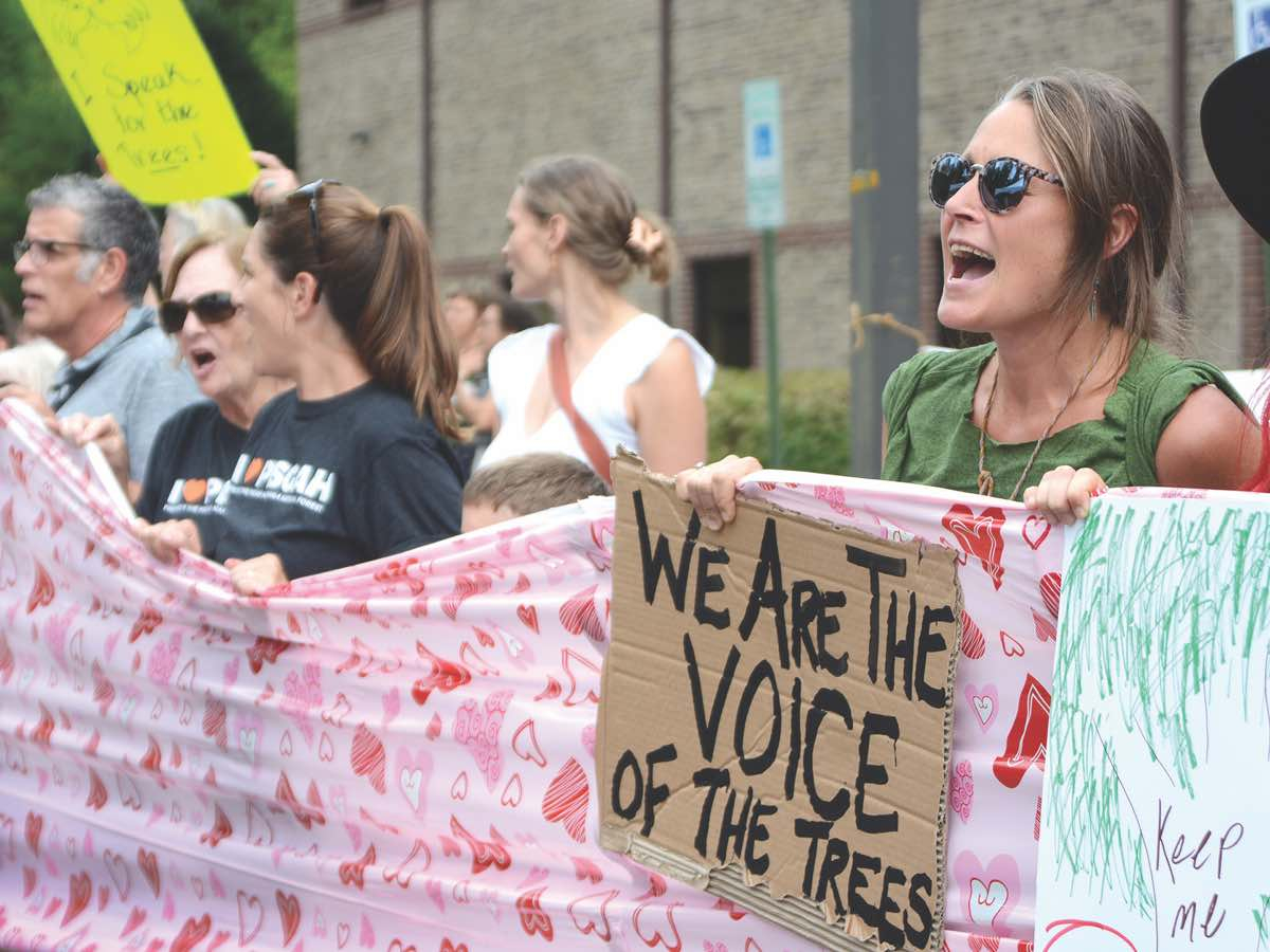Rallygoers chant “Our forests, our future,” during an Aug. 1 event supporting stronger logging restrictions in the new Pisgah-Nantahala Forest Management Plan. Holly Kays photo