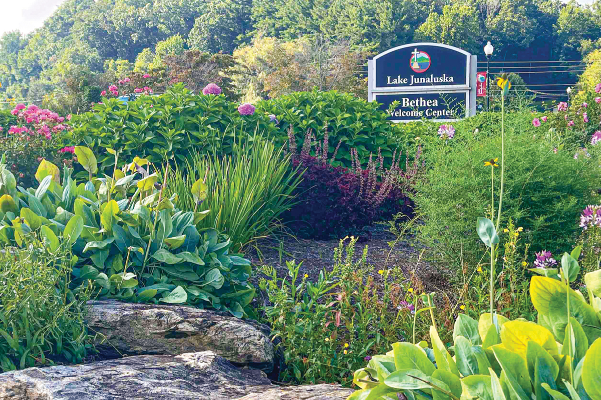 Fall Plant Sale at Lake Junaluska