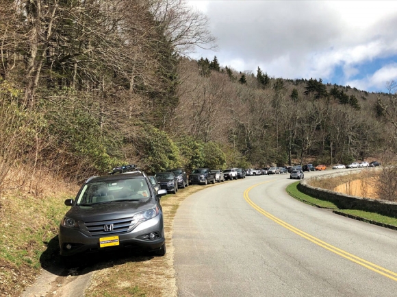  Vehicles park down the side of the Parkway March 26 as the parking lot for Rough Ridge Trail near Asheville is filled to overflowing. NPS photo