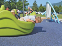 Canton aims for all-abilities playground
