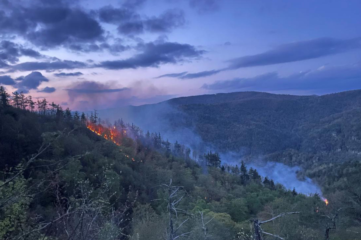 The Linville Gorge fire reached 12 acres before humid conditions allowed firefighters to take an indirect approach in their response. USFS photo