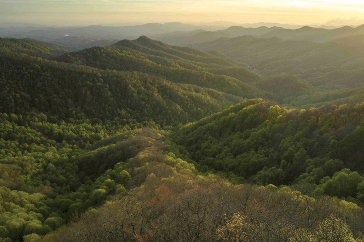4,400 acres saved due to conservation effort