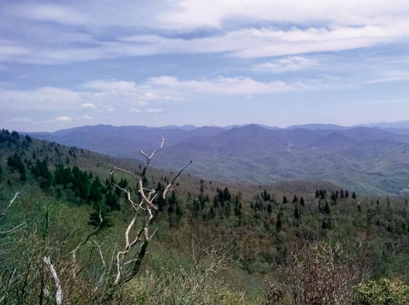 A sweeping mountain view stretches along property owned by America’s Home Place. Donated photo