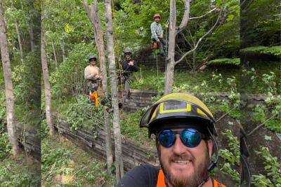 Partner content: Spring Cleanup and Land Prep Made Easy with Haynes Tree &amp; Excavation