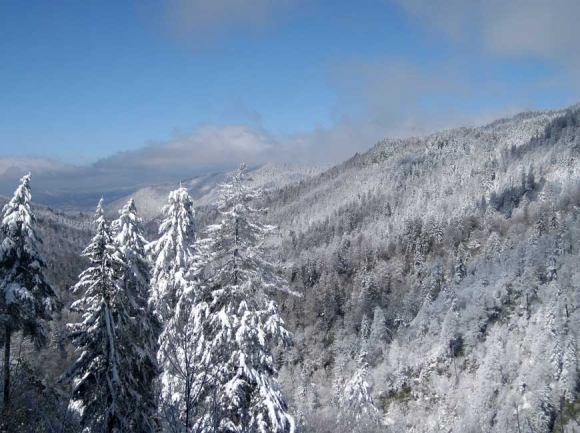 While it can make for dangerous driving conditions, snow intensifies the beauty of the Smokies’ dramatic landscape. Donated photo