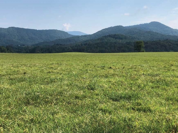 The Watauga Mound site was home to Cherokee people for thousands of years. Mainspring photo