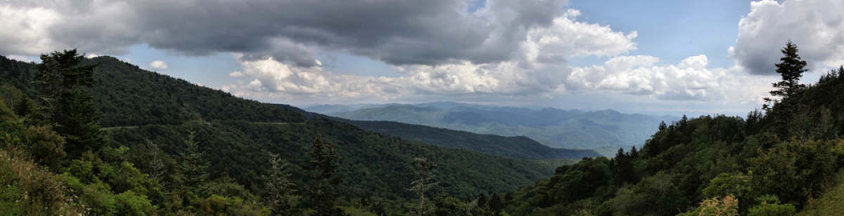 Waterrock Knob Overlook facing east at milepost 451.2.