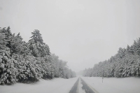 This must be the place: ‘Sitting in my beater, dead of winter, busted heater’