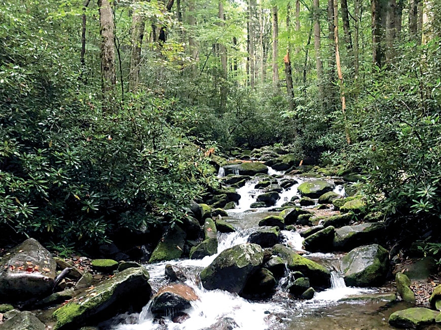 The Storybook Trail of the Smokies will wind against a backdrop of peaceful forest and rushing waterways. NPS photos