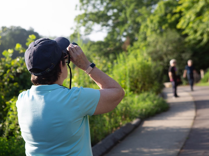 Five-year bird survey seeks volunteers