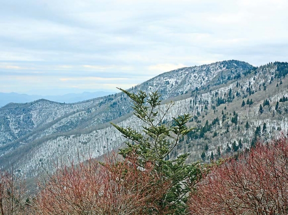 Work from land trusts has been instrumental in preserving the Blue Ridge Parkway’s sweeping views in Western North Carolina. Holly Kays photo 