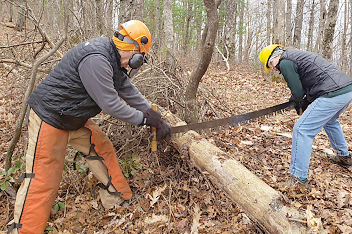 Help maintain the Benton MacKaye Trail