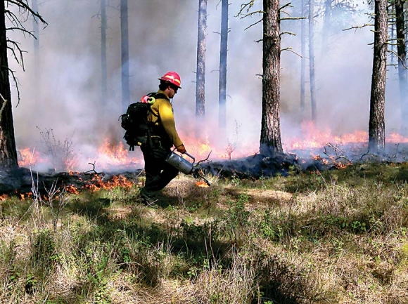 Prescribed burns are one method Forest Service uses to mitigate for wildfires. creative commons photo
