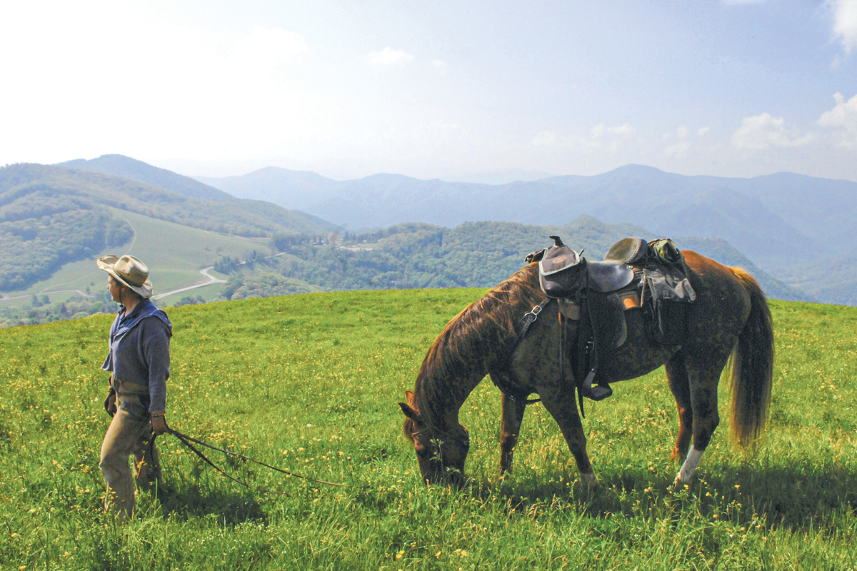 Troxler encourages horse owners to vaccinate against mosquito-borne diseases and rabies