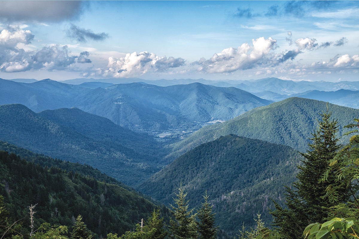 The headwaters of Maggie Valley’s watershed  start at the Blue Ridge Parkway. Steve Orr photo