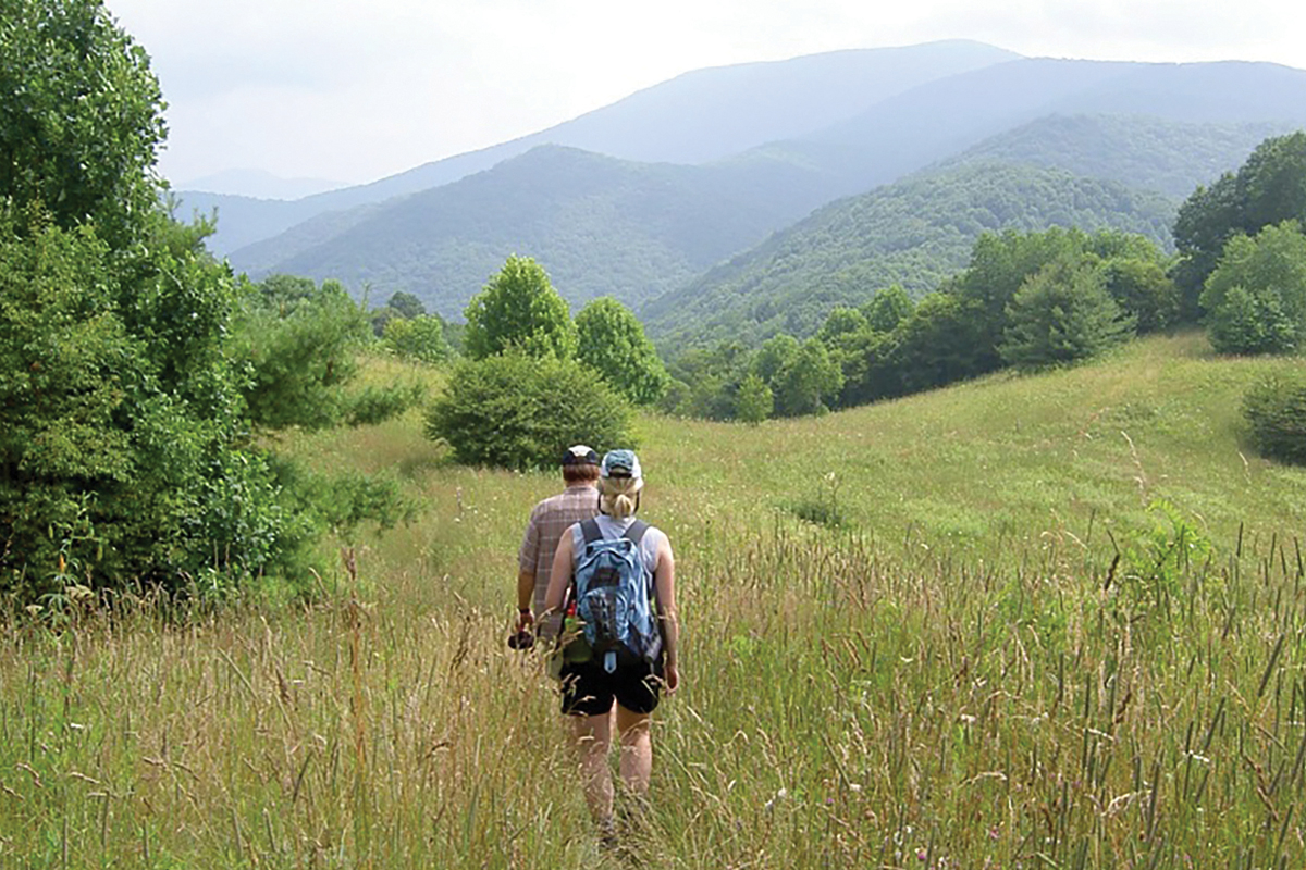 Hike Haywood County