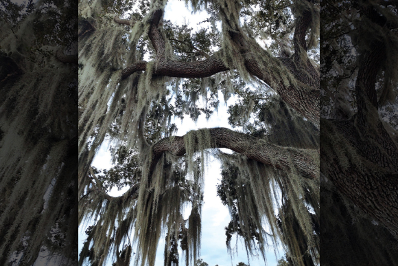 Lake Wales in located in Polk County, Florida. Garret K. Woodward photo