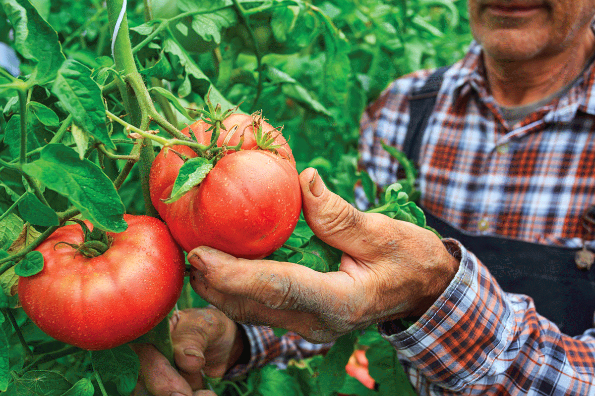 Farm Labor, along with several farms the company represents is suing the Department of Labor over a new rule it says will cost the company upwards of $3 million per year.