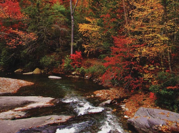 ‘Fall at Fines Creek’ by Kelley Jakelis. 