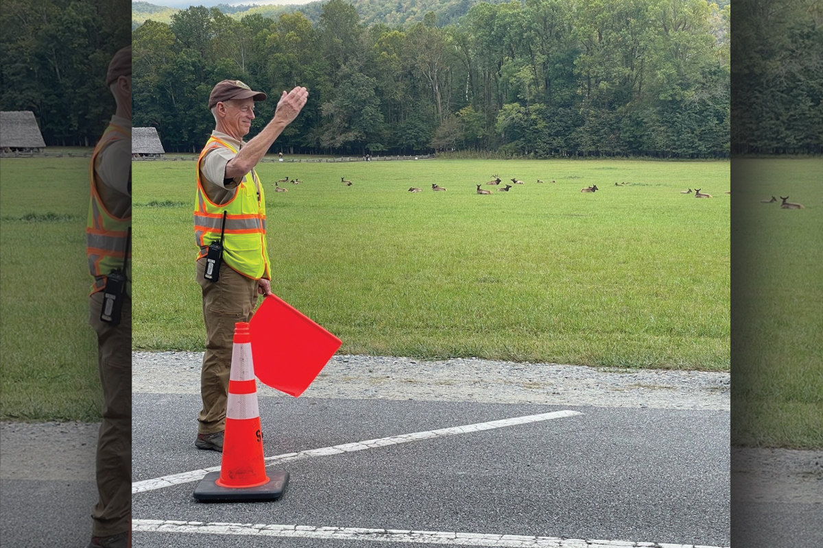 Volunteers will assist and guide visitors, providing valuable information about elk and how to behave around the animals. 