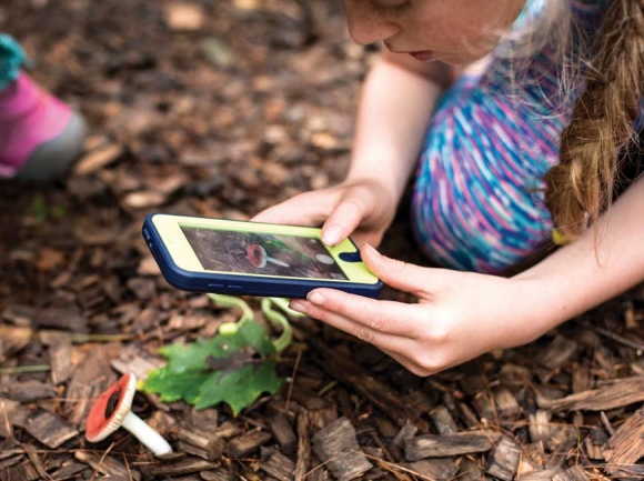 An ecoEXPLORE participant captures her observation of a mushroom. N.C. Arboretum photo