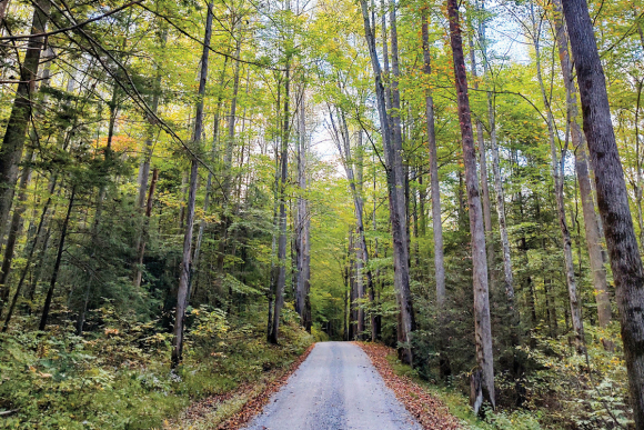 Big Creek entrance to the national park. 