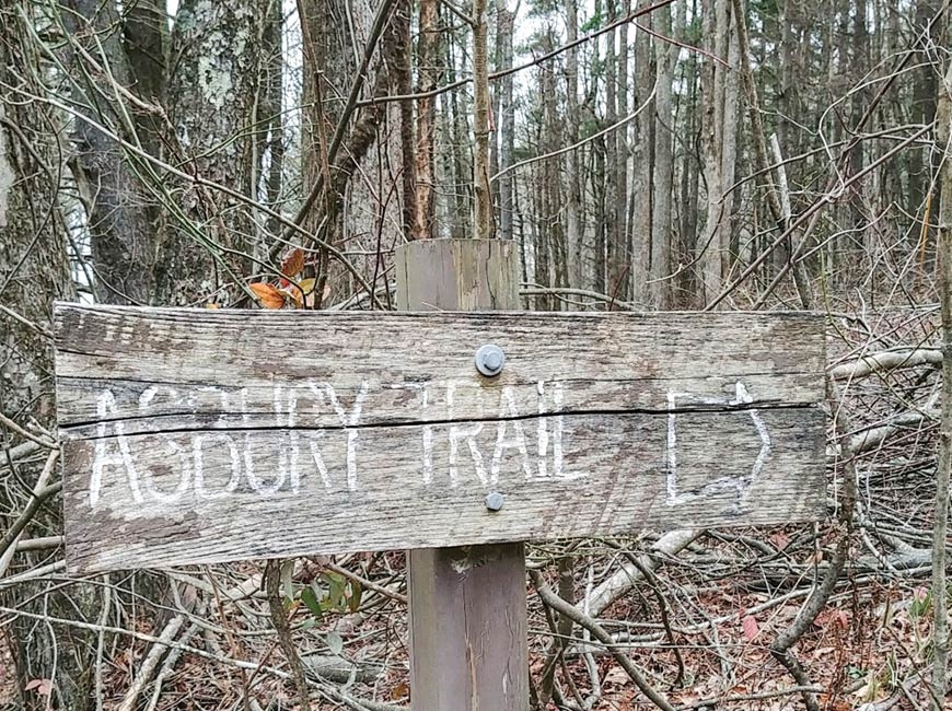 Asbury Trail in the Great Smoky Mountains. (photo: Garret K. Woodward) 