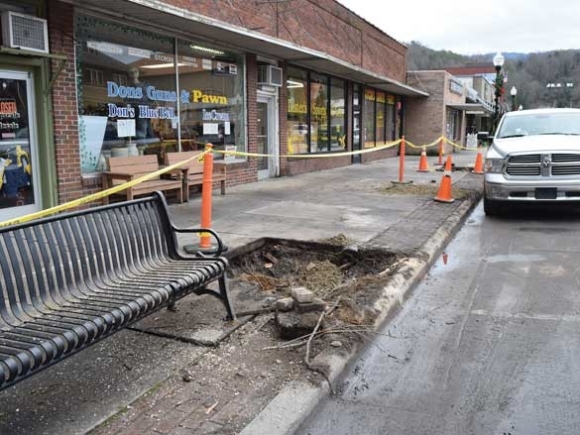 Bryson City removes trees on Everett Street