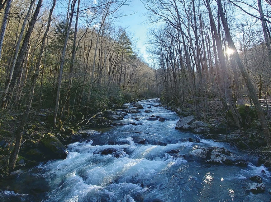 Big Creek, Great Smoky Mountains National Park. (photo: Garret K. Woodward)