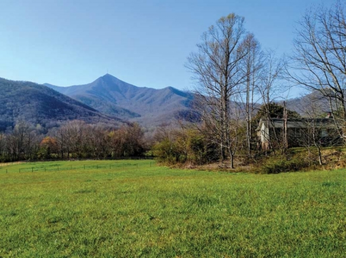 Mount Pisgah rises above the fields at Pisgah View Ranch. Donated photos