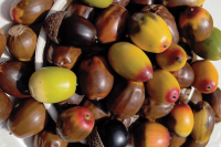 Up Moses Creek: A bumper crop