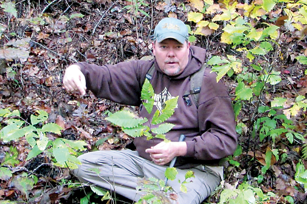 Haywood waterways hosts tree identification hike