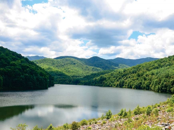 Forest covers land in the Waynesville watershed that just four decades ago featured large amounts of clear cuts and bare earth. Holly Kays photos