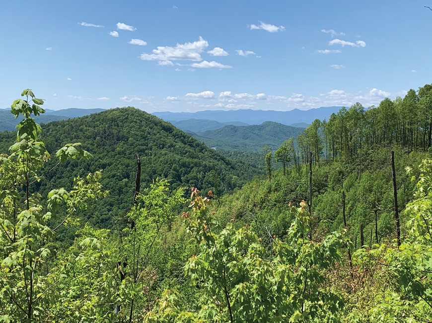 Several land acquisitions, including for the Wilderness Gateway State Trail, have allowed the N.C. State Parks system to grow to more than 250,000 acres. Donated photo