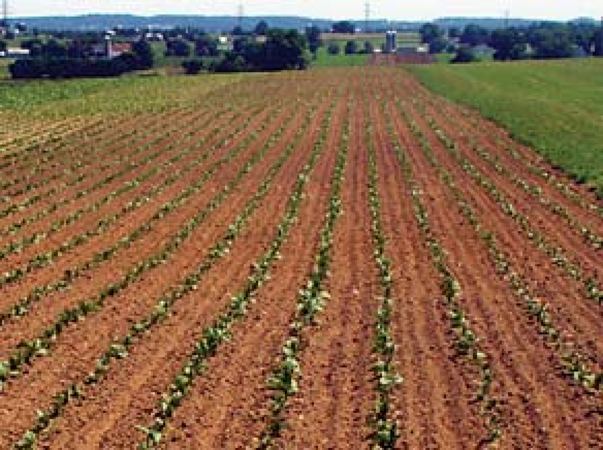 Extreme drought expands in North Carolina