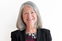 NC-11 Republicans elect new chair