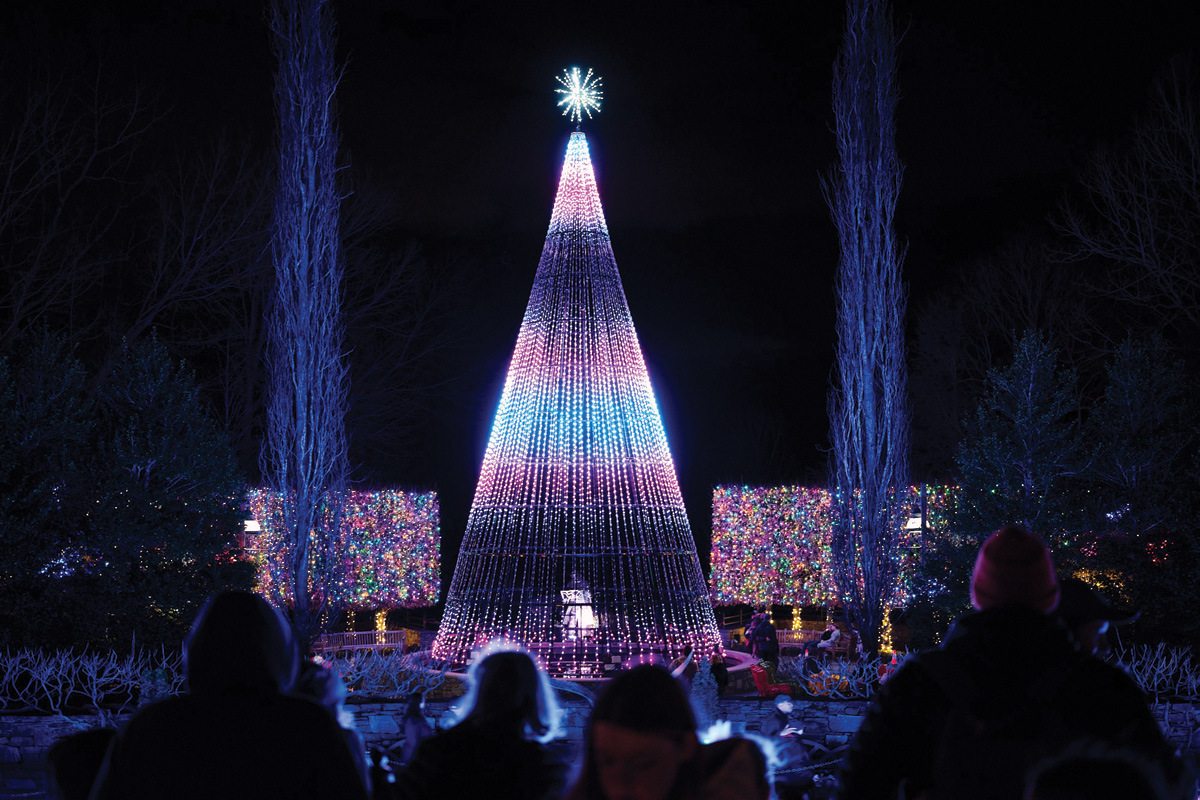This is Winer Lights 12th year at the arboretum.