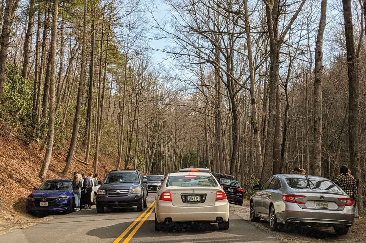 Cars crowd the road during a busy fall day in the Great Smoky Mountains National Parks. NPS photo